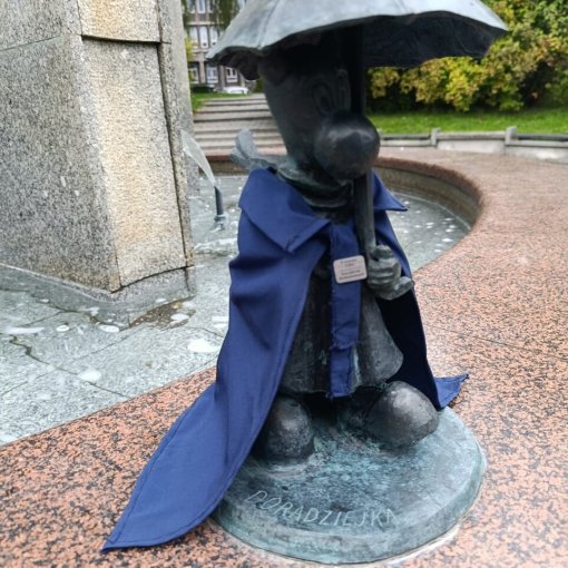 Bebok_Easy-Resize.com