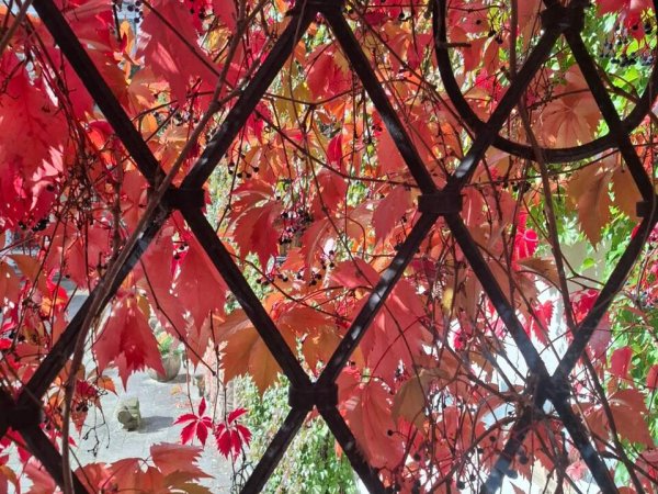 IMG-20251006-WA0025_Easy-Resize.com