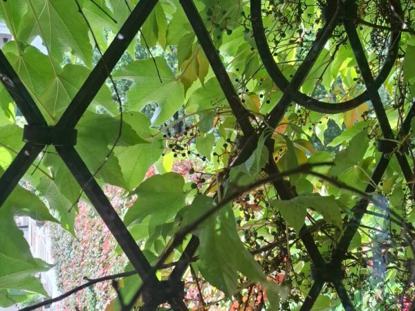 IMG-20251006-WA0027_Easy-Resize.com